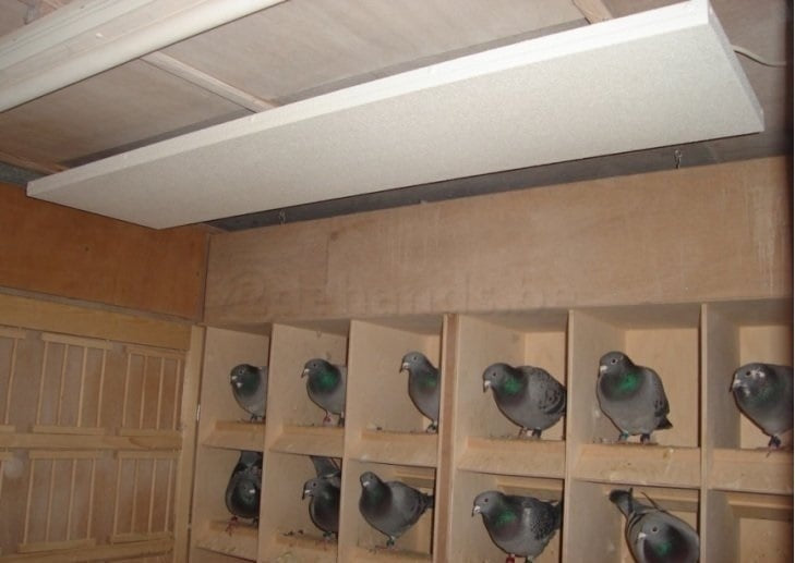 Calefactor para animales