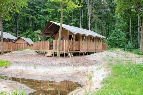 14 tiendas de safari en el camping 't Woutershok