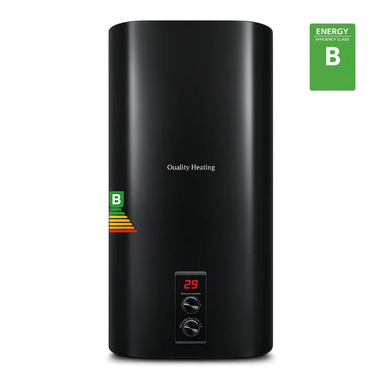 100 Liter QH dual elektrische boiler met mechanische bediening