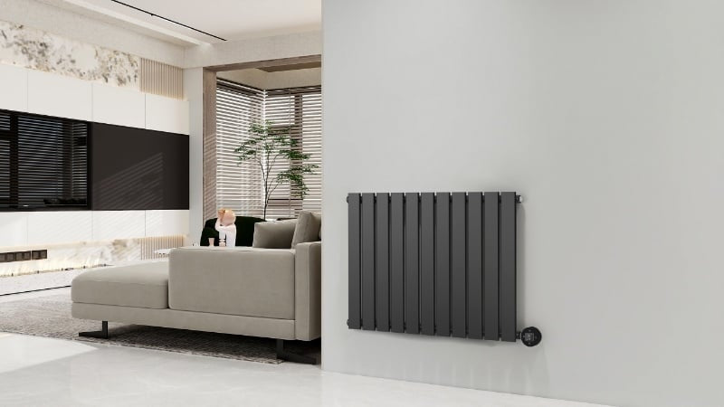 Radiador eléctrico horizontal negro 800 vatios Calysta