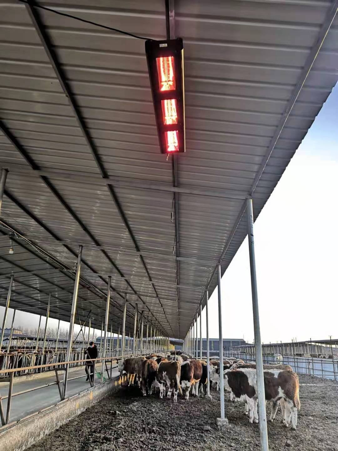 QH-PRO calentador infrarrojo 6000Watt