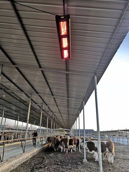 QH-PRO calentador infrarrojo 6000Watt